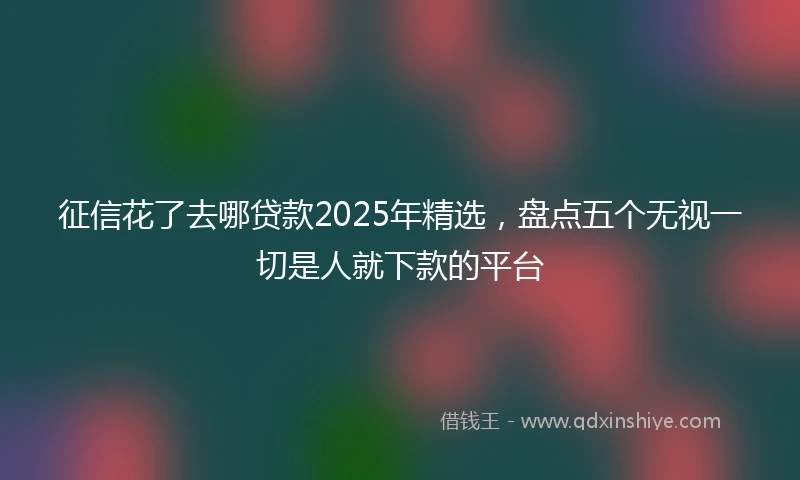 征信花了去哪贷款2025年精选,盘点五个无视一切是人就下款的平台