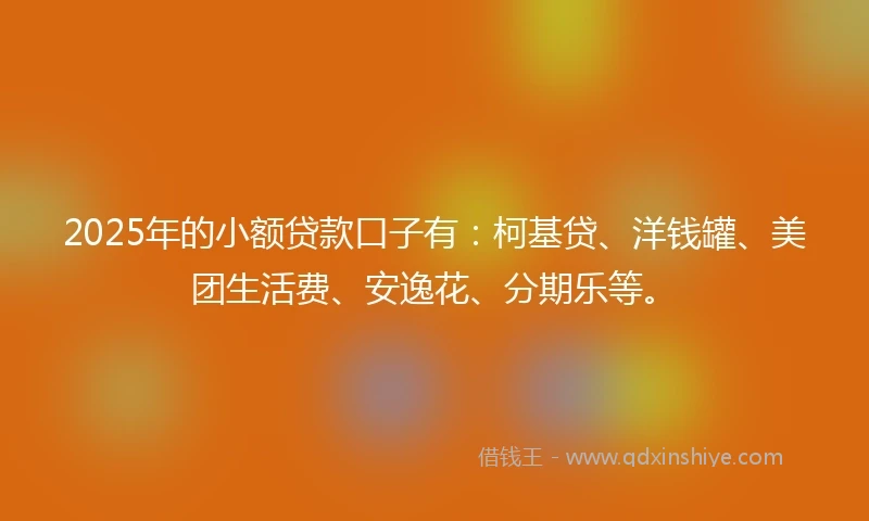 2025年的小额贷款口子有：柯基贷、洋钱罐、美团生活费、安逸花、分期乐等。