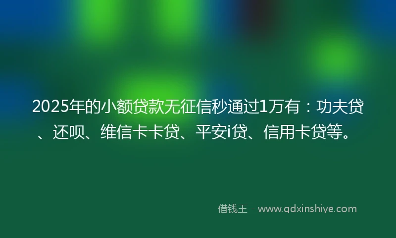 2025年的小额贷款无征信秒通过1万有：功夫贷、还呗、维信卡卡贷、平安i贷、信用卡贷等。
