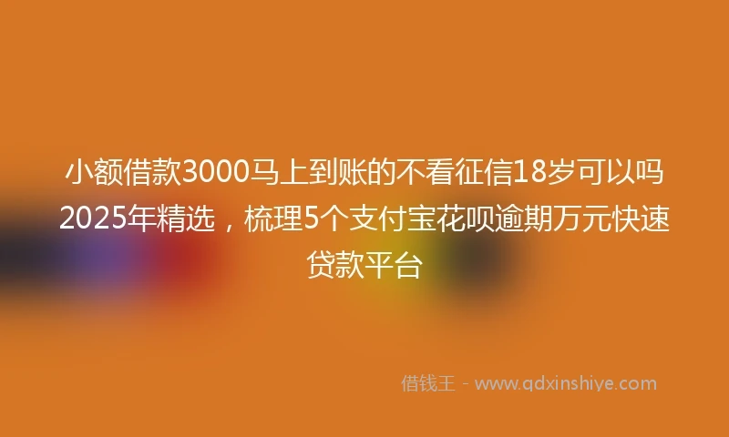 小额借款3000马上到账的不看征信18岁可以吗2025年精选，梳理5个支付宝花呗逾期万元快速贷款平台