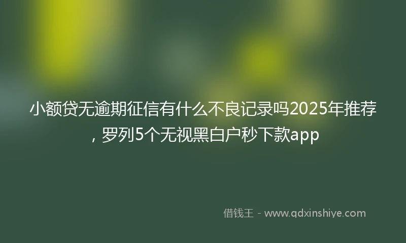 小额贷无逾期征信有什么不良记录吗2025年推荐，罗列5个无视黑白户秒下款app