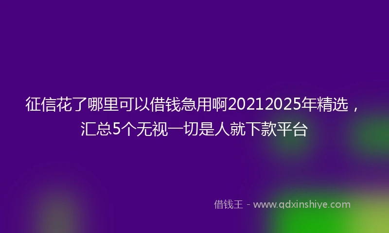 征信花了哪里可以借钱急用啊20212025年精选，汇总5个无视一切是人就下款平台