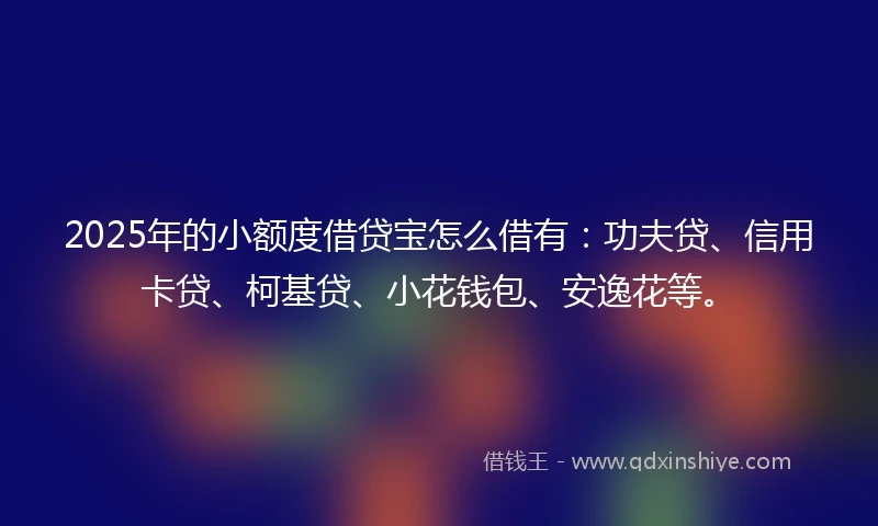 2025年的小额度借贷宝怎么借有：功夫贷、信用卡贷、柯基贷、小花钱包、安逸花等。