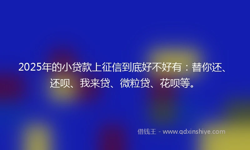 2025年的小贷款上征信到底好不好有：替你还、还呗、我来贷、微粒贷、花呗等。