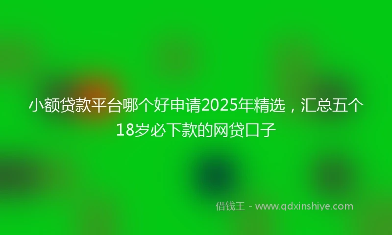 小额贷款平台哪个好申请2025年精选，汇总五个18岁必下款的网贷口子