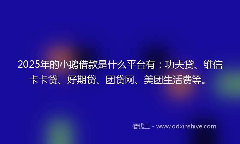 2025年的小鹅借款是什么平台有：功夫贷、维信卡卡贷、好期贷、团贷网、美团生活费等。