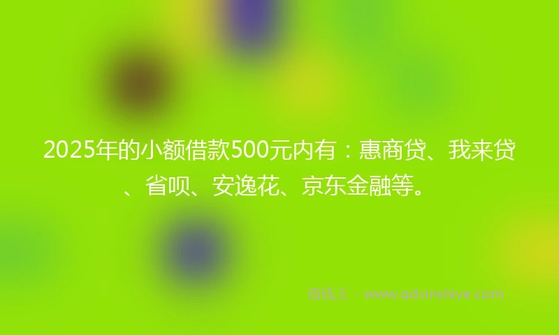 2025年的小额借款500元内有：惠商贷、我来贷、省呗、安逸花、京东金融等。