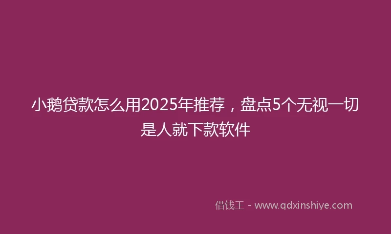 小鹅贷款怎么用2025年推荐，盘点5个无视一切是人就下款软件