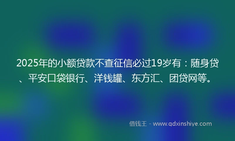 2025年的小额贷款不查征信必过19岁有：随身贷、平安口袋银行、洋钱罐、东方汇、团贷网等。