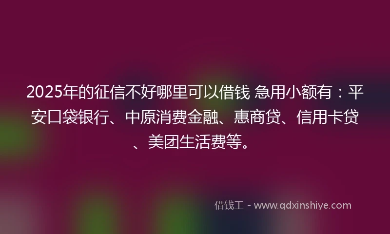 2025年的征信不好哪里可以借钱 急用小额有:平安口袋银行、中原消费金融、惠商贷、信用卡贷、美团生活费等。