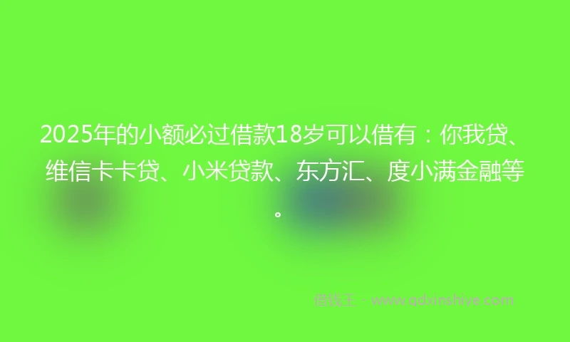 2025年的小额必过借款18岁可以借有：你我贷、维信卡卡贷、小米贷款、东方汇、度小满金融等。