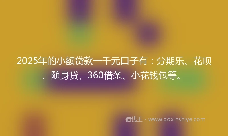 2025年的小额贷款一千元口子有：分期乐、花呗、随身贷、360借条、小花钱包等。