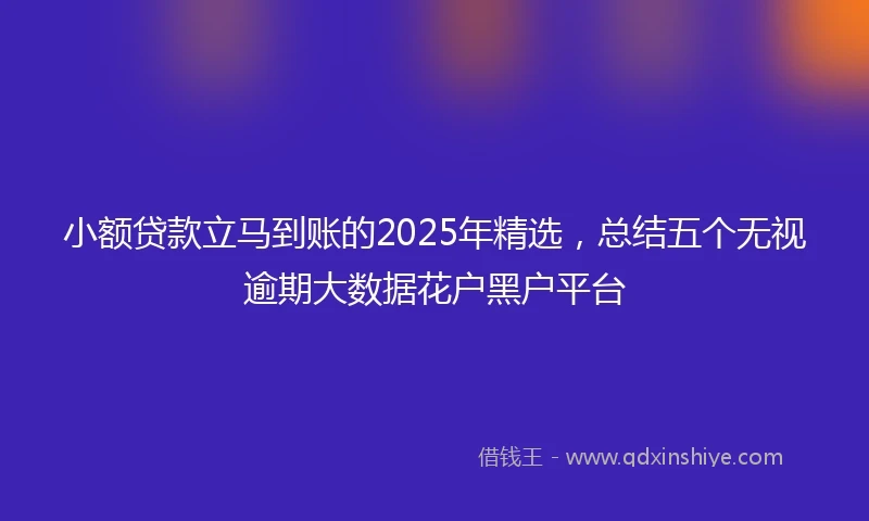 小额贷款立马到账的2025年精选，总结五个无视逾期大数据花户黑户平台