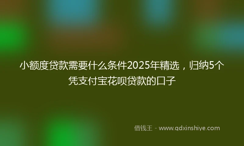 小额度贷款需要什么条件2025年精选，归纳5个凭支付宝花呗贷款的口子