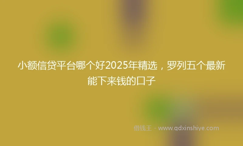 小额信贷平台哪个好2025年精选，罗列五个最新能下来钱的口子