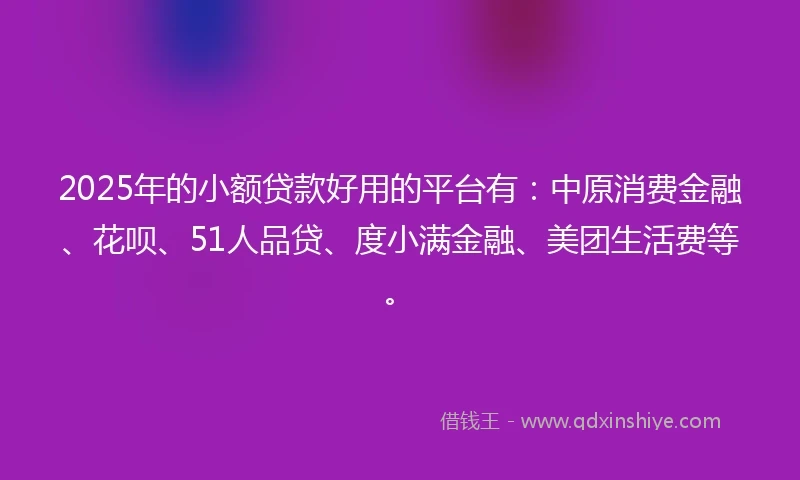 2025年的小额贷款好用的平台有：中原消费金融、花呗、51人品贷、度小满金融、美团生活费等。