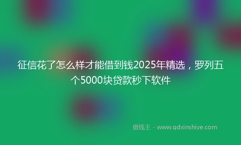 征信花了怎么样才能借到钱2025年精选，罗列五个5000块贷款秒下软件
