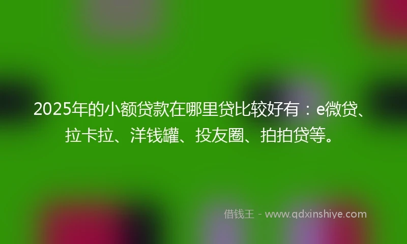 2025年的小额贷款在哪里贷比较好有：e微贷、拉卡拉、洋钱罐、投友圈、拍拍贷等。