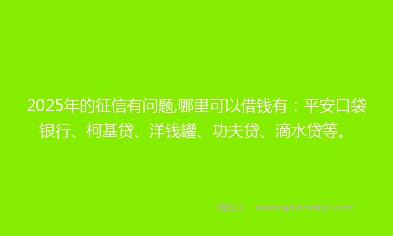 2025年的征信有问题,哪里可以借钱有：平安口袋银行、柯基贷、洋钱罐、功夫贷、滴水贷等。