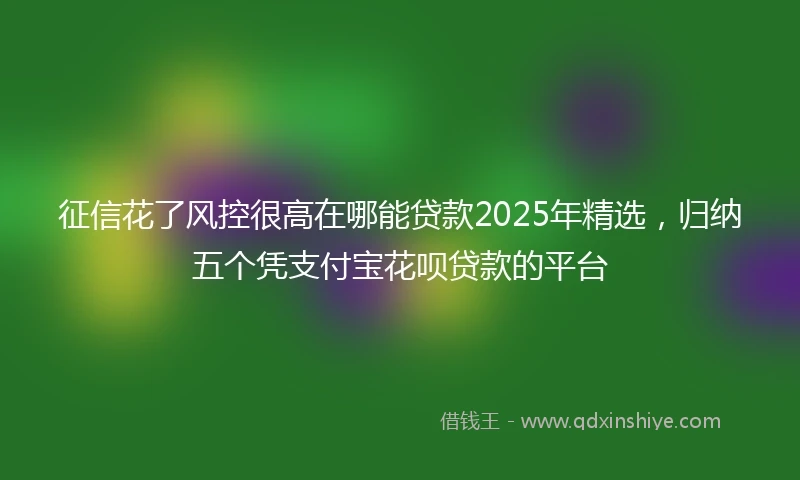 征信花了风控很高在哪能贷款2025年精选，归纳五个凭支付宝花呗贷款的平台