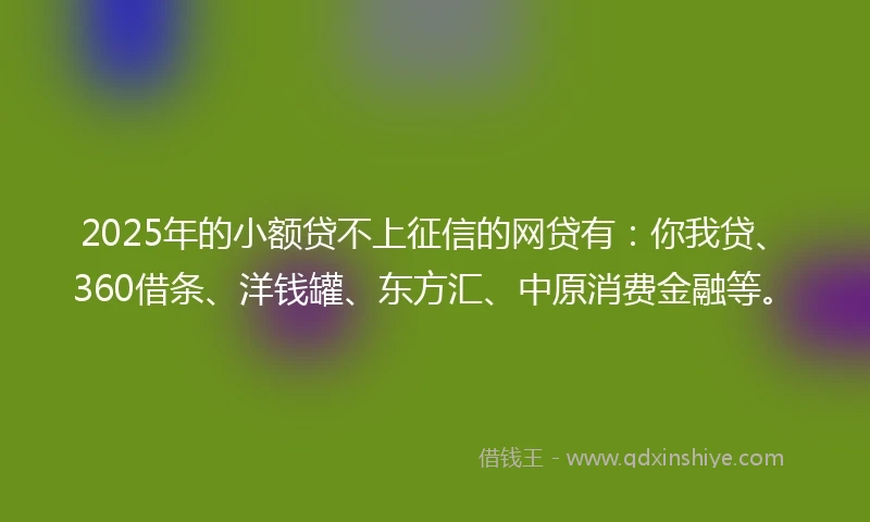 2025年的小额贷不上征信的网贷有：你我贷、360借条、洋钱罐、东方汇、中原消费金融等。