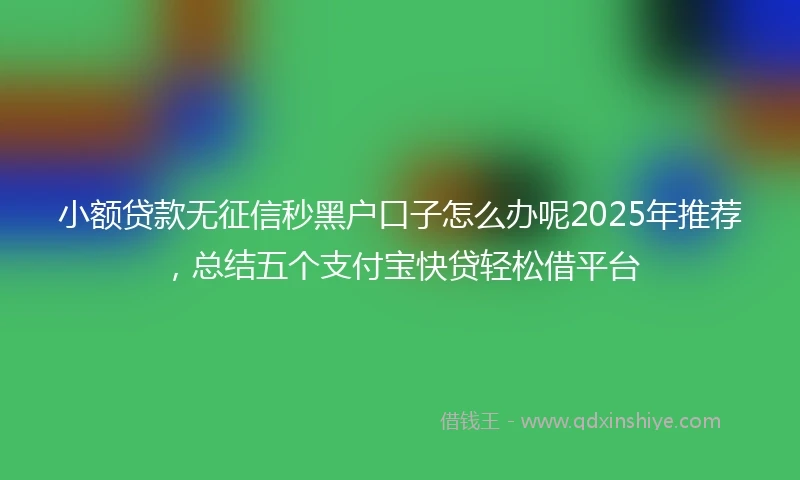 小额贷款无征信秒黑户口子怎么办呢2025年推荐，总结五个支付宝快贷轻松借平台