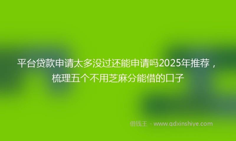 平台贷款申请太多没过还能申请吗2025年推荐，梳理五个不用芝麻分能借的口子