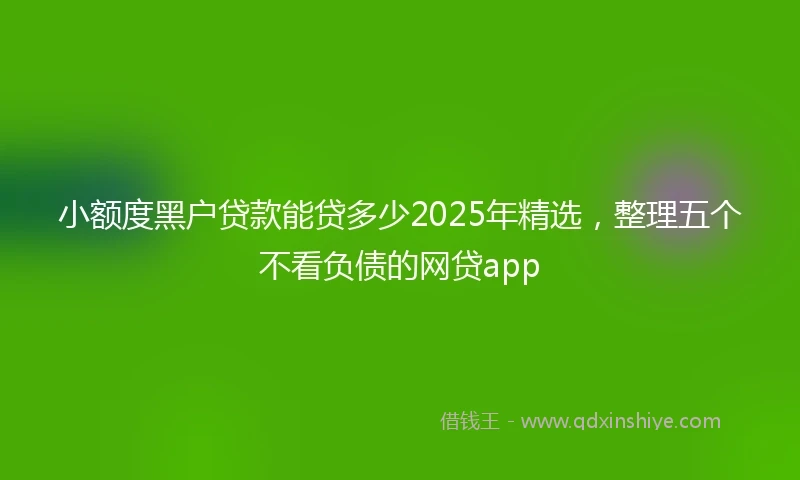 小额度黑户贷款能贷多少2025年精选，整理五个不看负债的网贷app