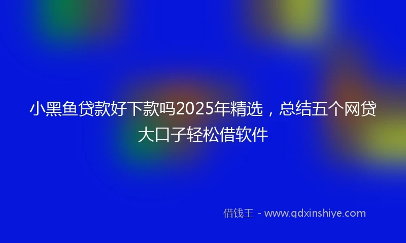 小黑鱼贷款好下款吗2025年精选，总结五个网贷大口子轻松借软件