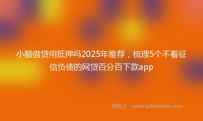 小额借贷用抵押吗2025年推荐，梳理5个不看征信负债的网贷百分百下款app