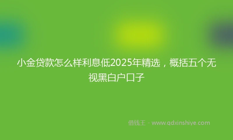 小金贷款怎么样利息低2025年精选，概括五个无视黑白户口子