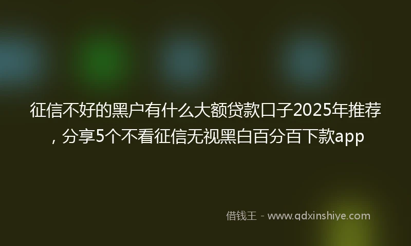 征信不好的黑户有什么大额贷款口子2025年推荐，分享5个不看征信无视黑白百分百下款app