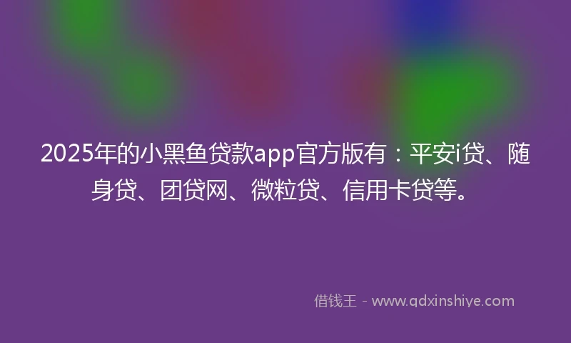 2025年的小黑鱼贷款app官方版有：平安i贷、随身贷、团贷网、微粒贷、信用卡贷等。