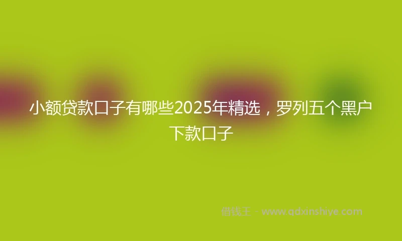 小额贷款口子有哪些2025年精选，罗列五个黑户下款口子