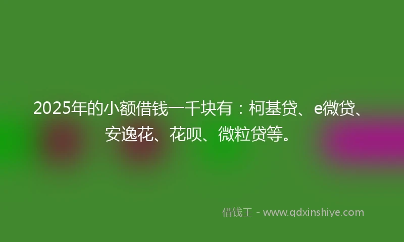 2025年的小额借钱一千块有：柯基贷、e微贷、安逸花、花呗、微粒贷等。
