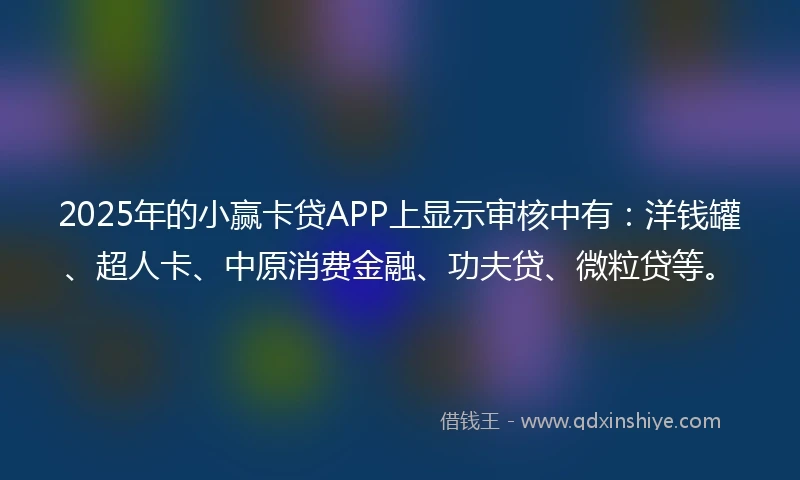 2025年的小赢卡贷APP上显示审核中有：洋钱罐、超人卡、中原消费金融、功夫贷、微粒贷等。