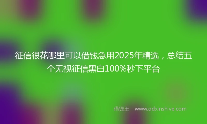 征信很花哪里可以借钱急用2025年精选,总结五个无视征信黑白100%秒下平台