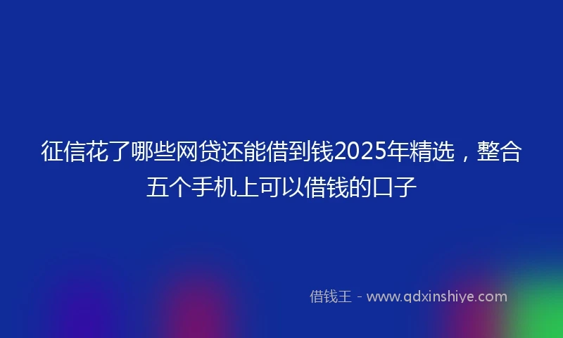 征信花了哪些网贷还能借到钱2025年精选,整合五个手机上可以借钱的口子