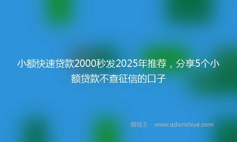 小额快速贷款2000秒发2025年推荐，分享5个小额贷款不查征信的口子