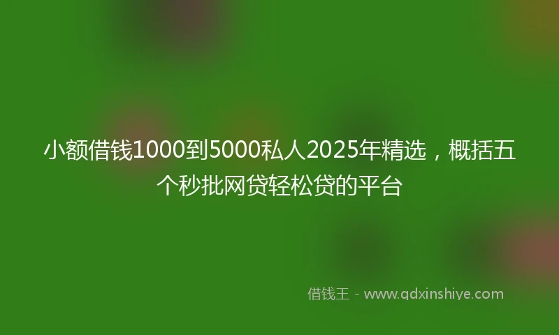 小额借钱1000到5000私人2025年精选，概括五个秒批网贷轻松贷的平台