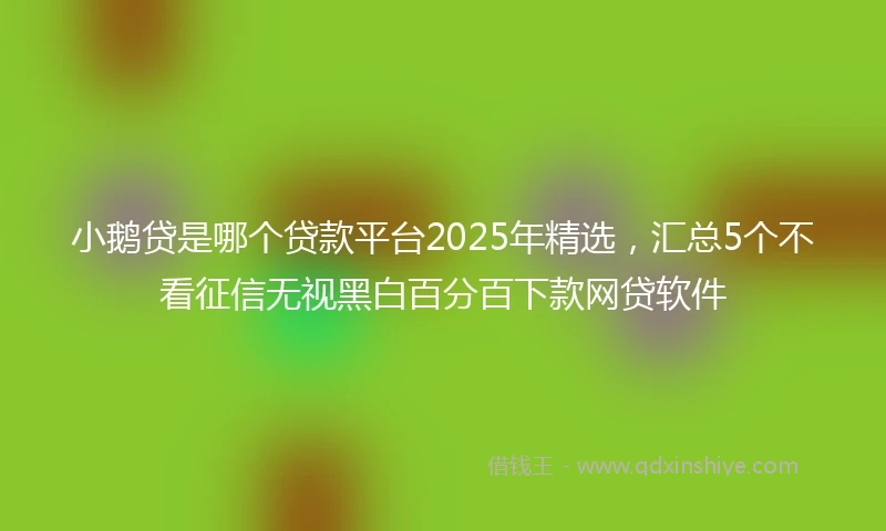 小鹅贷是哪个贷款平台2025年精选，汇总5个不看征信无视黑白百分百下款网贷软件