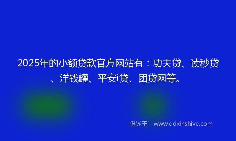 2025年的小额贷款官方网站有：功夫贷、读秒贷、洋钱罐、平安i贷、团贷网等。