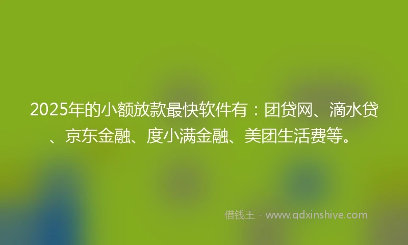 2025年的小额放款最快软件有：团贷网、滴水贷、京东金融、度小满金融、美团生活费等。
