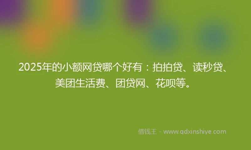 2025年的小额网贷哪个好有：拍拍贷、读秒贷、美团生活费、团贷网、花呗等。