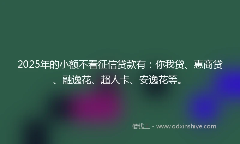 2025年的小额不看征信贷款有：你我贷、惠商贷、融逸花、超人卡、安逸花等。