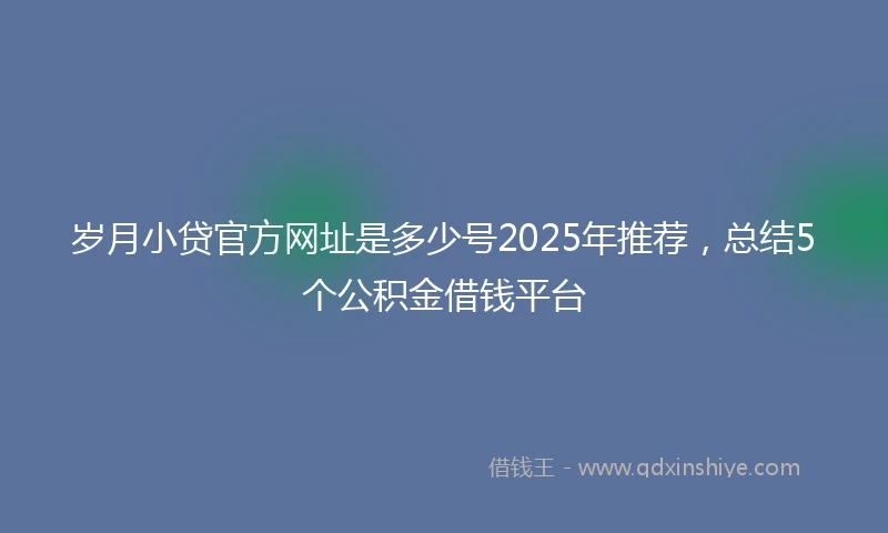 岁月小贷官方网址是多少号2025年推荐，总结5个公积金借钱平台