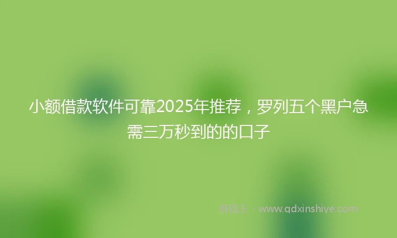 小额借款软件可靠2025年推荐，罗列五个黑户急需三万秒到的的口子