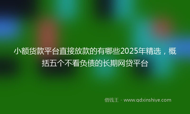 小额货款平台直接放款的有哪些2025年精选，概括五个不看负债的长期网贷平台