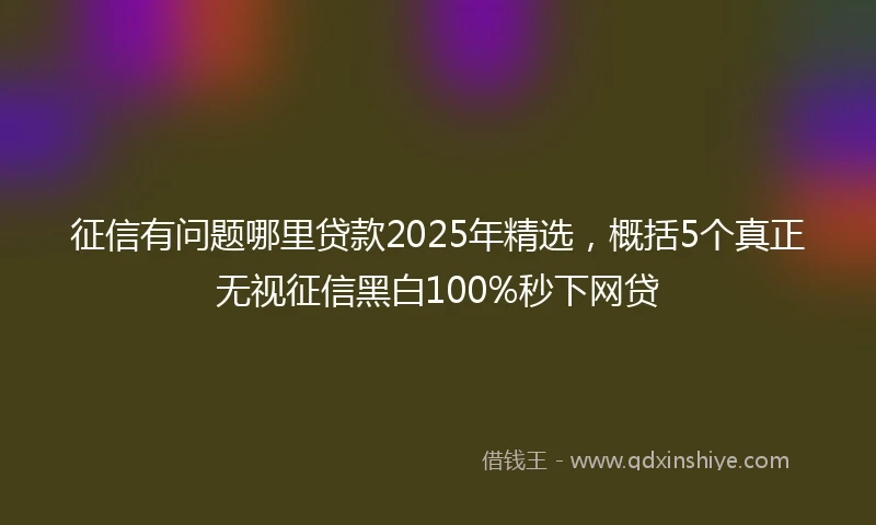 征信有问题哪里贷款2025年精选，概括5个真正无视征信黑白100%秒下网贷