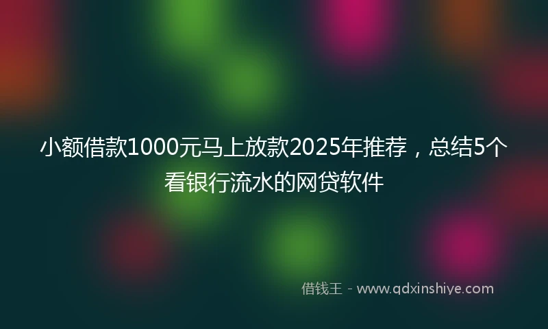 小额借款1000元马上放款2025年推荐，总结5个看银行流水的网贷软件